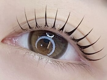 セレブヒルズ 北上店(Celeb Hill’s)の写真/【期間限定価格】《予約殺到サロン》人気NO.1！韓国アイドル束感まつげパーマ【U24学割上¥2850/上下¥3990】