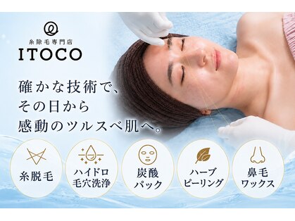 イトコ(ITOCO)の写真