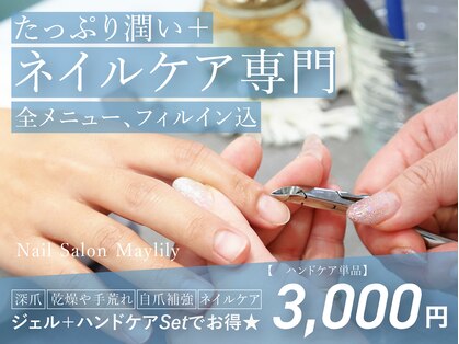 メイリリー(Maylily)の写真