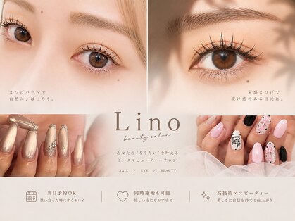リノ(Lino)の写真