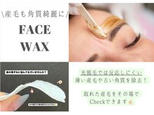 TD 一宮店の雰囲気（【見えない産毛もスッキリ】お顔の産毛,毛穴詰まりにも◎）