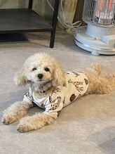 ネイルサロン コースト(coast)&nbsp;nun 