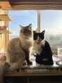 ニカ(NICA) 我が家の愛猫です☆(※サロンに猫はいません)