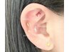 耳ツボジュエリー両耳10粒(片耳5粒)