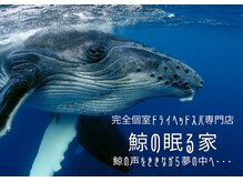 鯨の眠る家