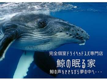 鯨の眠る家
