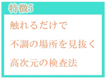 こおりやま整体院/◆ 高次元な検査