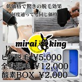 ミライキング(mirai king)