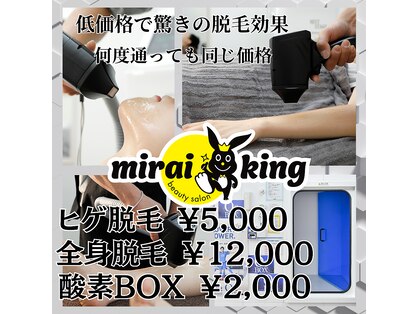 ミライキング(mirai king)の写真