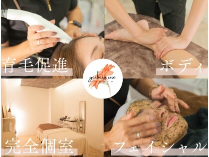 ジェルブラローズ(gerbera rose)の写真