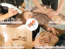 ジェルブラローズ(gerbera rose)