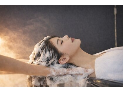 テラ(TERRA)の写真