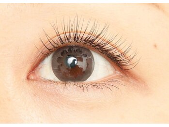 スカラ(SCALA.)/ナチュラルエクステ100本