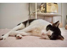 キレイ(KIREI)/海苔巻君