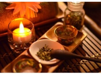 ロータスツリー(LOTUS TREE)/