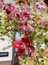 わたなべ整体院/