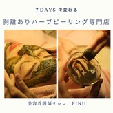 ピヌ(Pinu)