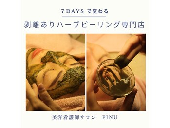 ピヌ(Pinu)