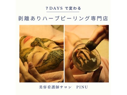 ピヌ(Pinu)の写真