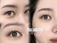 デイシー ネイルアンドアイラッシュ(deicy nail&eyelash)/フラットラッシュ120本