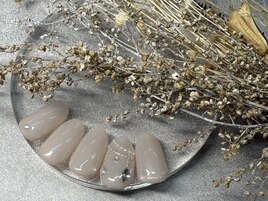 シンプルコース