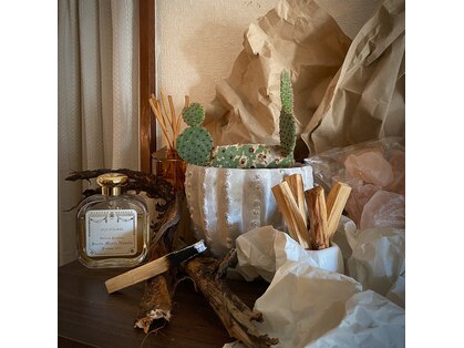 サロン ナウ オア ネバー(Salon Now or Never)の写真