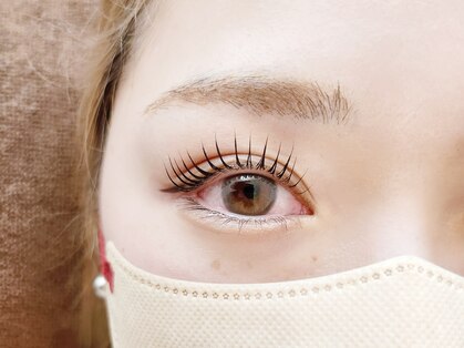 チャイ(Chay)の写真