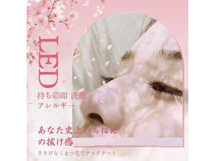 アーリティ 日暮里店(Aarti)の写真