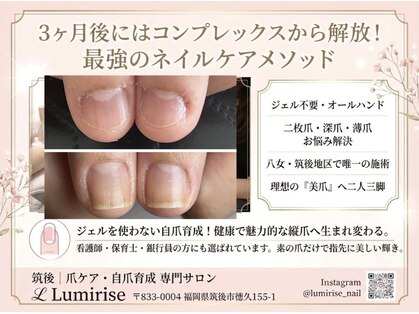 ルミライズ(Lumirise)の写真