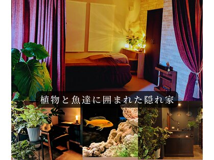 からだととのえサロン　ハオルチアの写真