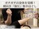 モミ(MOMI)の写真
