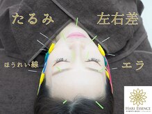 ハリエッセンス(HARI ESSENCE)
