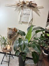 ナチュア(nature)/〈店内〉