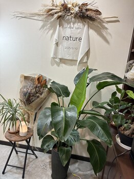 ナチュア(nature)/〈店内〉
