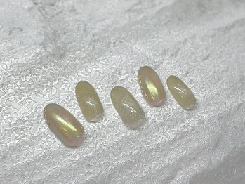 マグネット定額