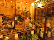 ハルナ(HARUNA)/カップルでのお買い物もオススメ