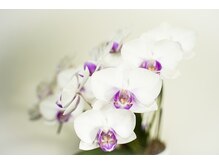 ザ サロン(THE S'ALON)/