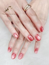 マグネットネイル　パラジェル