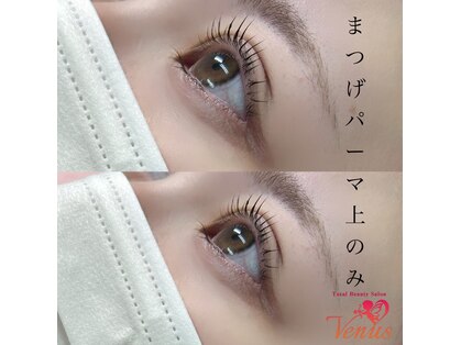 ヴィーナス(Venus)の写真