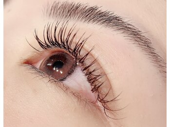 レーヴ(REVE)/フラットラッシュ120本