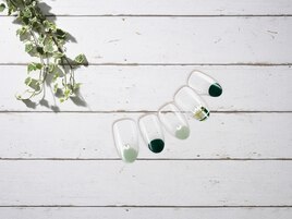 フレンチ　チェック　【11525】