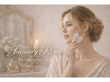 プラセル(PLACER)