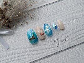 うみがめデザイン