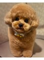 ブーケ&nbsp;20歳と13歳の二児の母です！1番甘えん坊の三男（犬）もいます♪