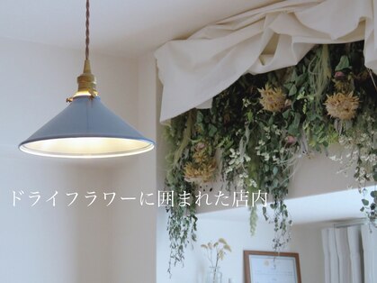 カレント(current)の写真