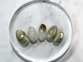 定額デザイン＜華やか＞