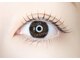 デスティーノ アイラッシュ(DESTINO eyelash)の写真/無理のない範囲で続けていただくために◎抜群のキープ力が大好評【フラットマットラッシュ】導入サロン☆