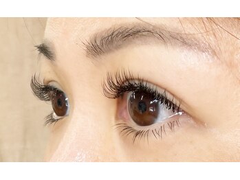 アリナラッシュ(ARINA LASH)/フラットラッシュ上下つけ放題