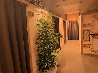 リセット 扇町店の写真