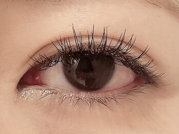 カラン 焼津店(CALIN)/フラットラッシュ120本